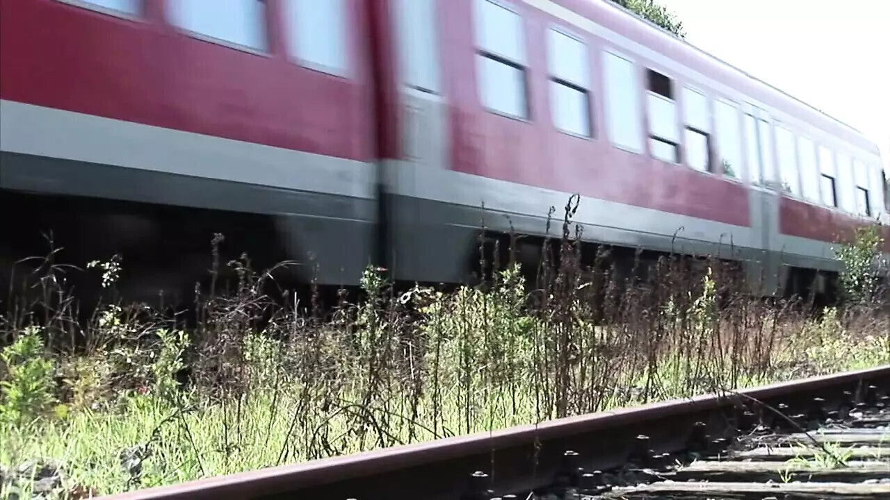 Crazy Skinny German Twinks Outdoor Threesome