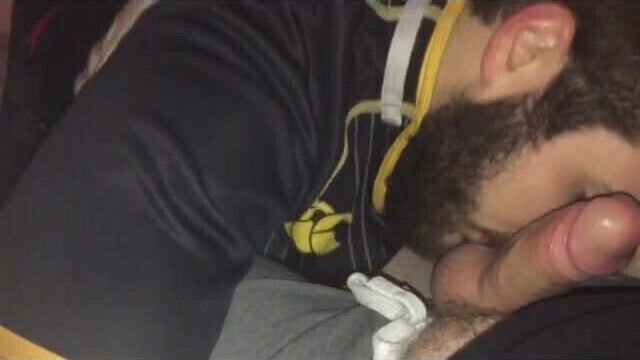 gay cubs bear hairy bearded guys compilation vol 1