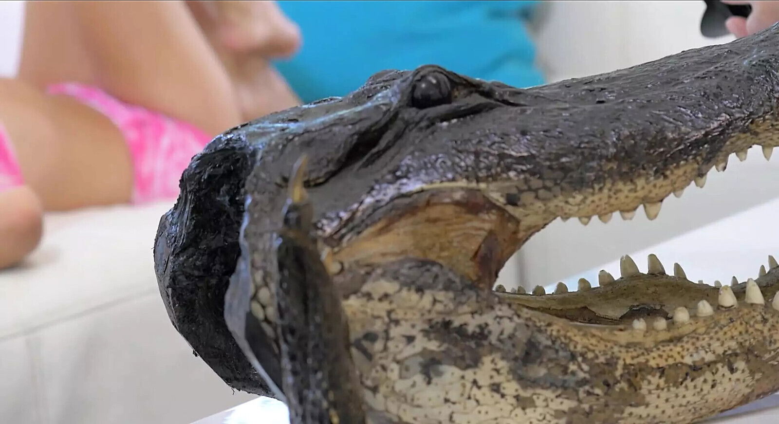 Best Friends Starring Blake Solo