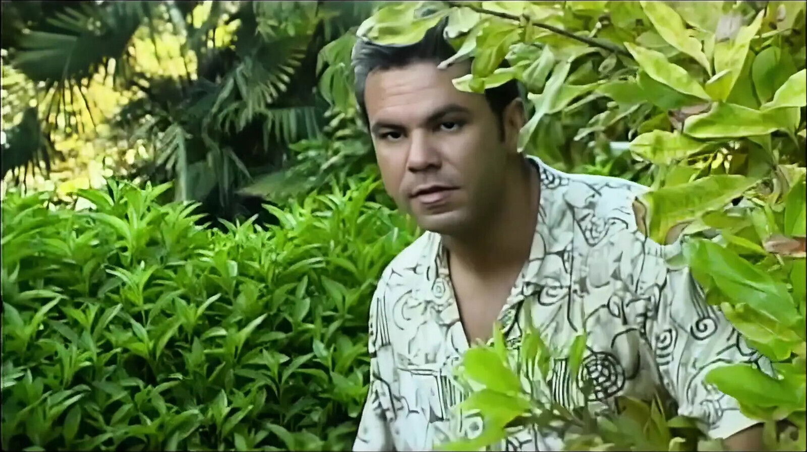 Cherry Rain Hammock Scene