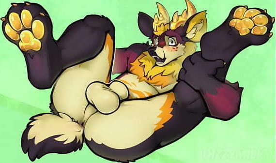 Furry Porn Compilation (Deer Edition)