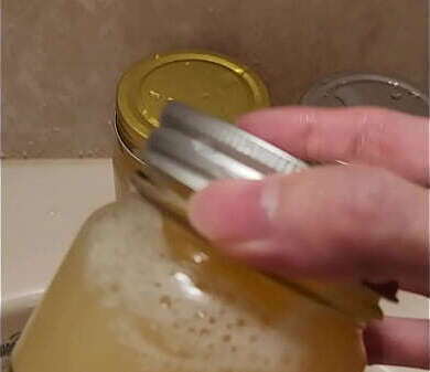 Japanese ejaculates with frozen semen