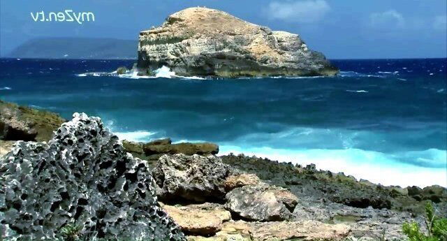 Hard deserted island with gorgeous blonde