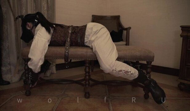 拉拉 lesbian BDSM｜女主人监禁鞭打调教新买回来的新奴隶