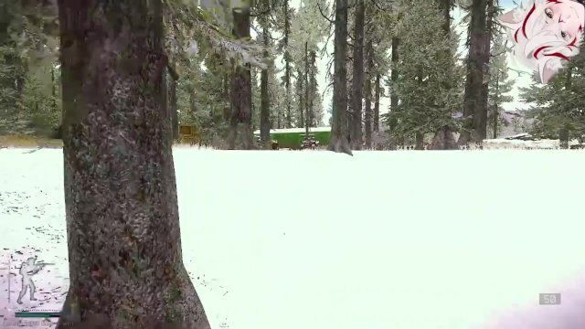 Escape from Tarkov Woods fuck harder then your partner