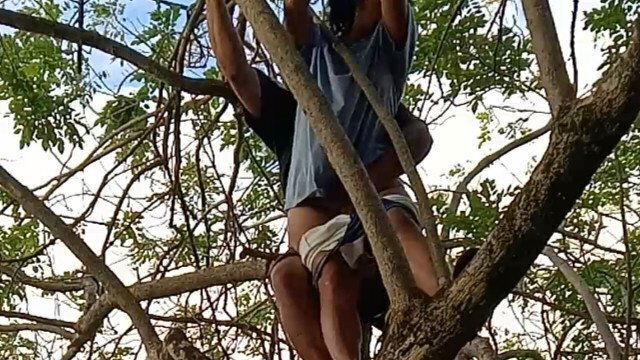 couldn't anything resist, climb tree fuck good