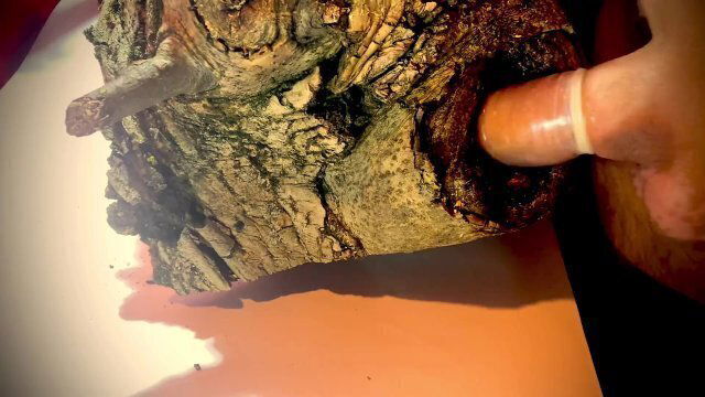 When there woman, hollow tree suitable imitation vagina. It's nice fuck