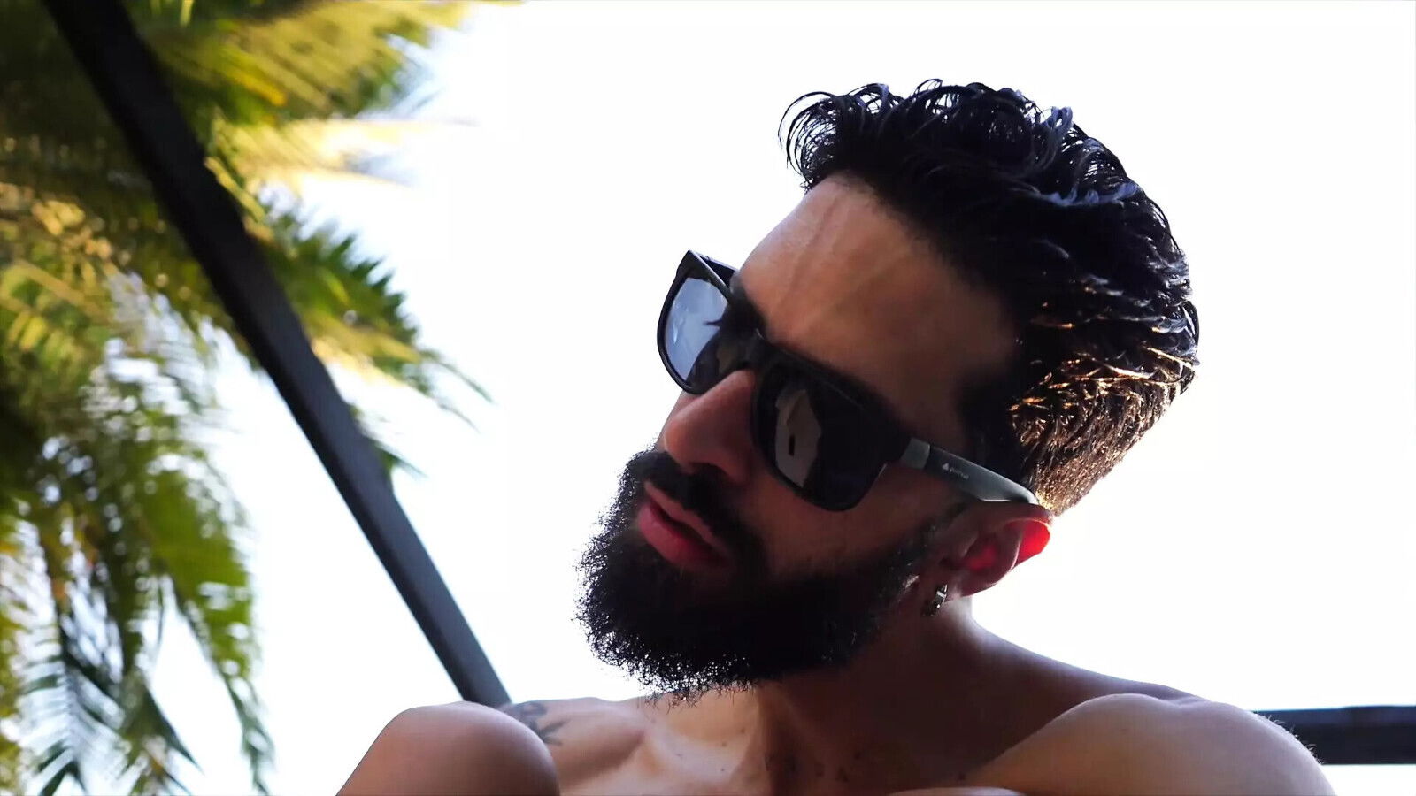 files Cristian cipriani book