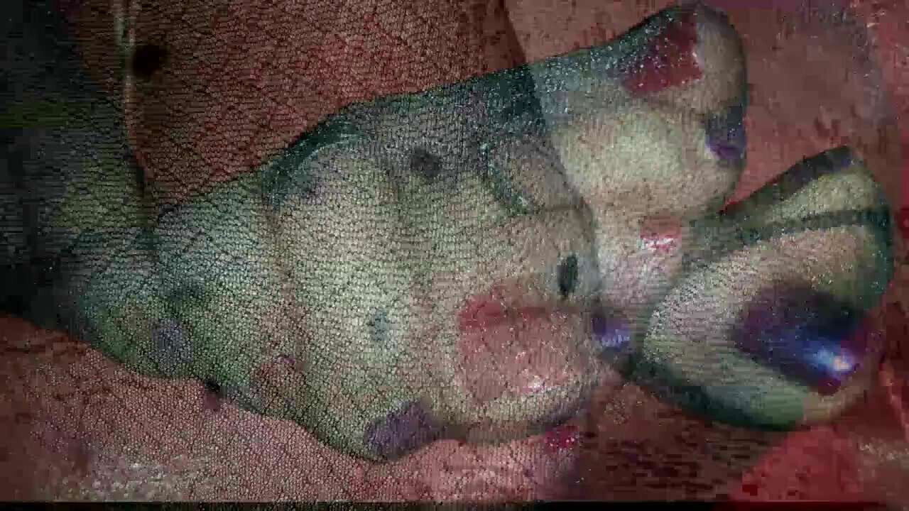 Diamonds Dots Rolling them