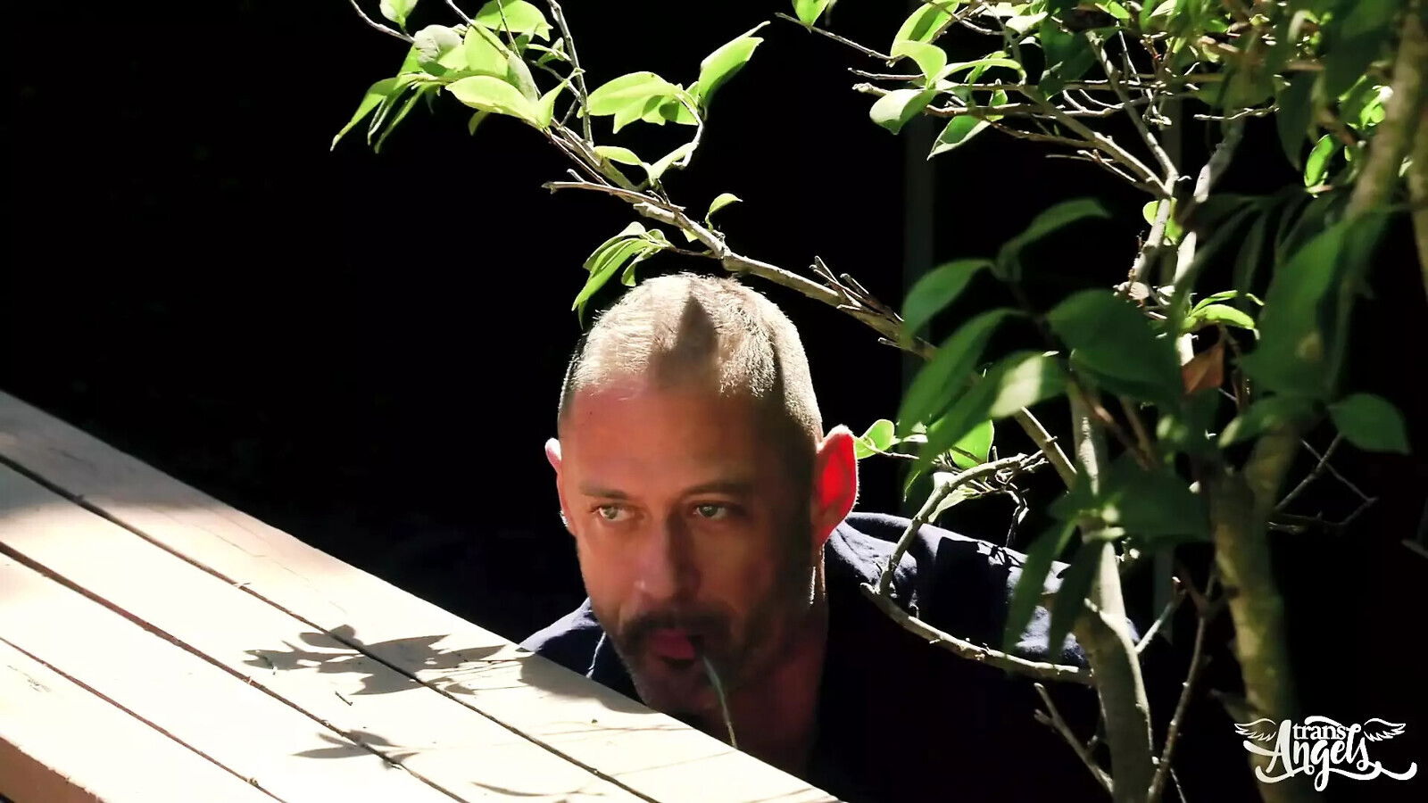 TRANS ANGELS Bianka Nascimento Oils Body Lies Pool When Comes Drills