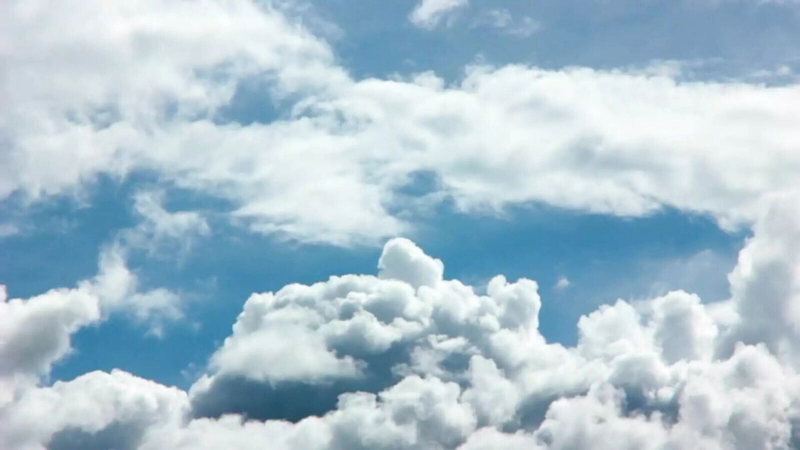 Russian chick modestly sucks trunk