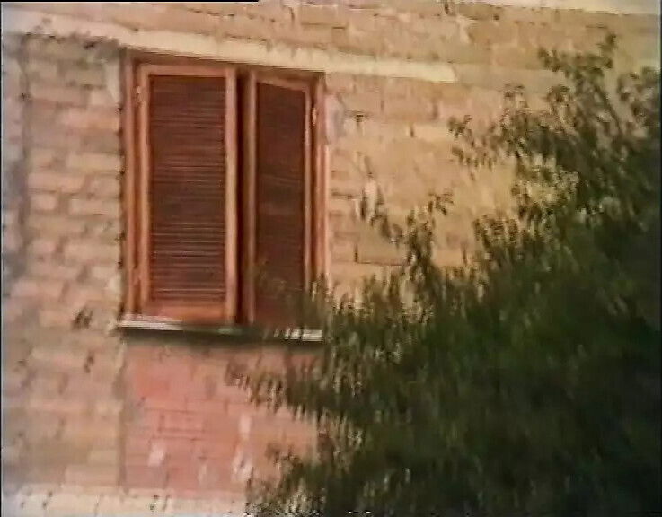 Troie Nasce Puttane Diventa