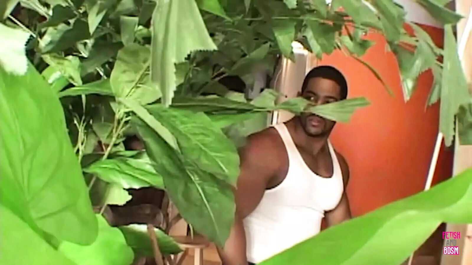 beautiful brunette with incredible interracial threesome