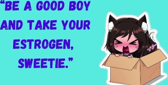 Fucking Your Femboy Girl Hormones