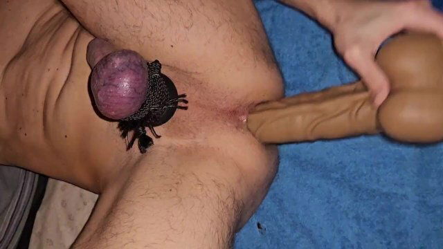 Fuck Asshole with Horsecock Ballstretcher