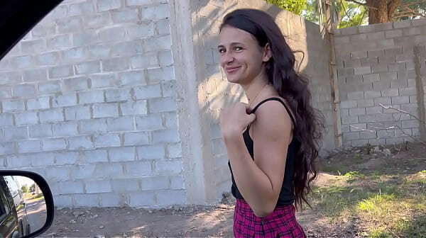 picked hottie drove home fucked highway.