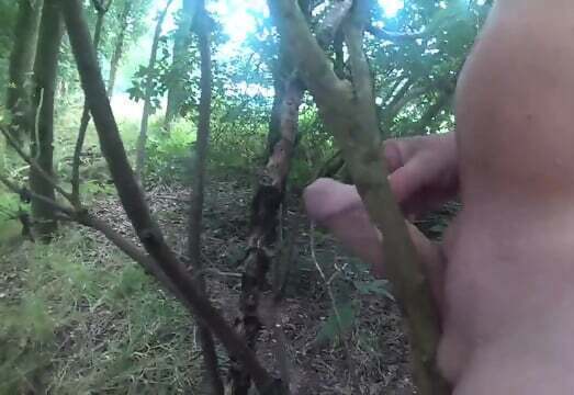 wanking cornfield cumming woods