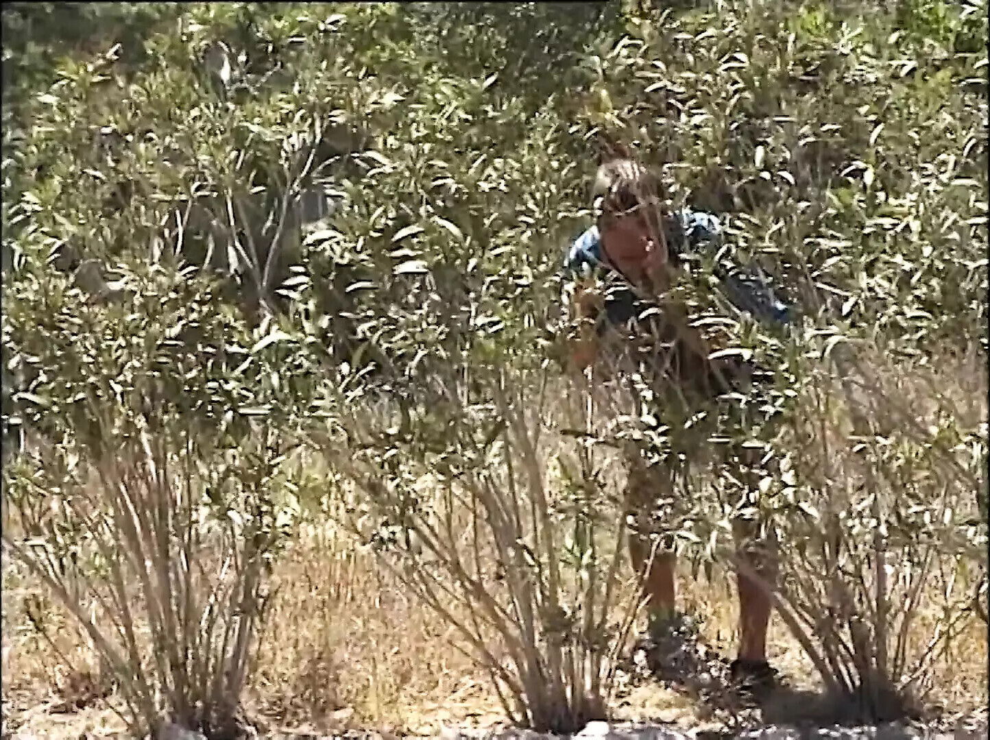 DREAMING HOT, SEXY PUSSY