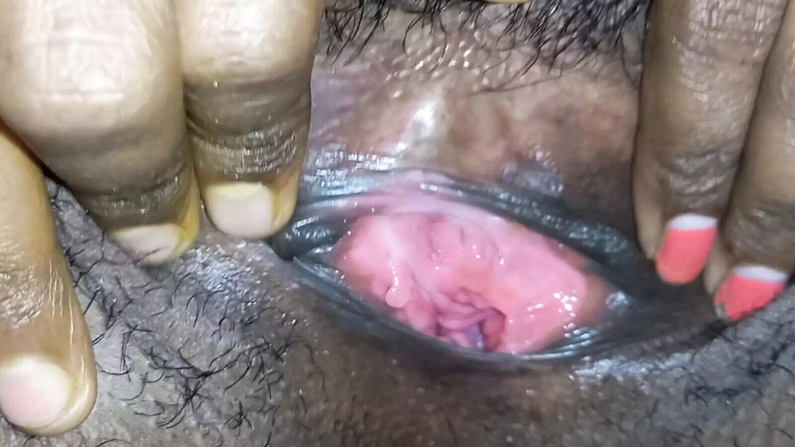 Bengali Ritu Boudi hotel video