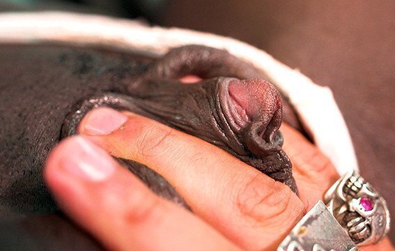 look suck pulsating clit