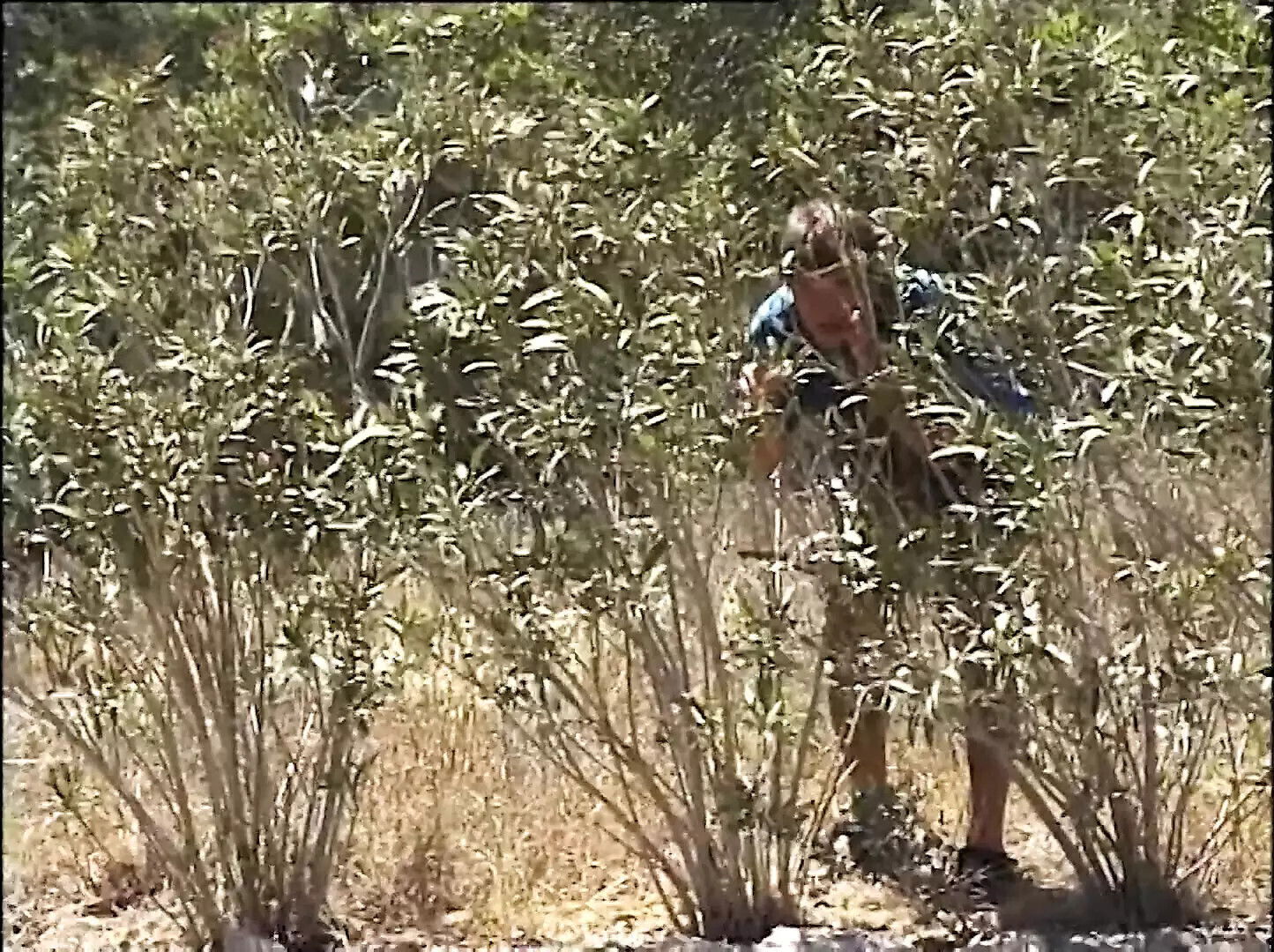 DREAMING HOT, SEXY PUSSY