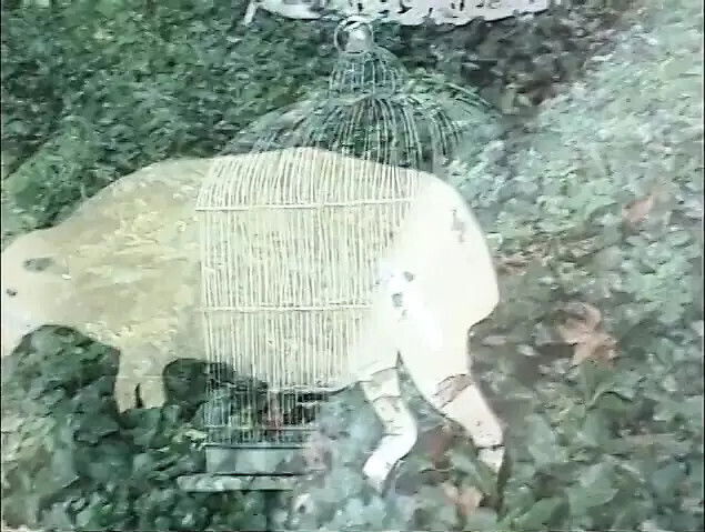 Sexy slut glasses gets asshole filled with then stud gives facial