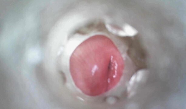 View Inside Fleshlight