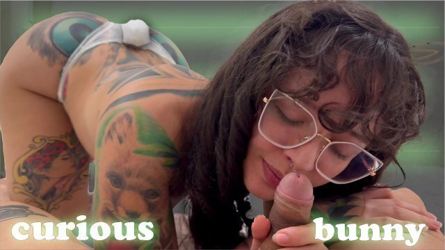 curious bunny loves smell hole