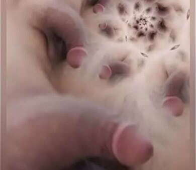 Hypnosis (Spanish part suck penises semen